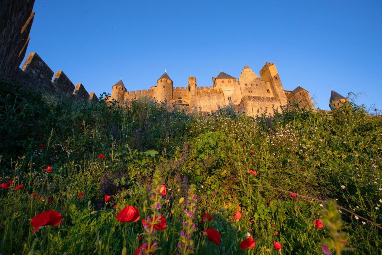 Tout Confort ! Calme, Climatisation, Parking Gratuit, Grande Terrasse, Ascenseur, Wifi Carcassonne Bagian luar foto