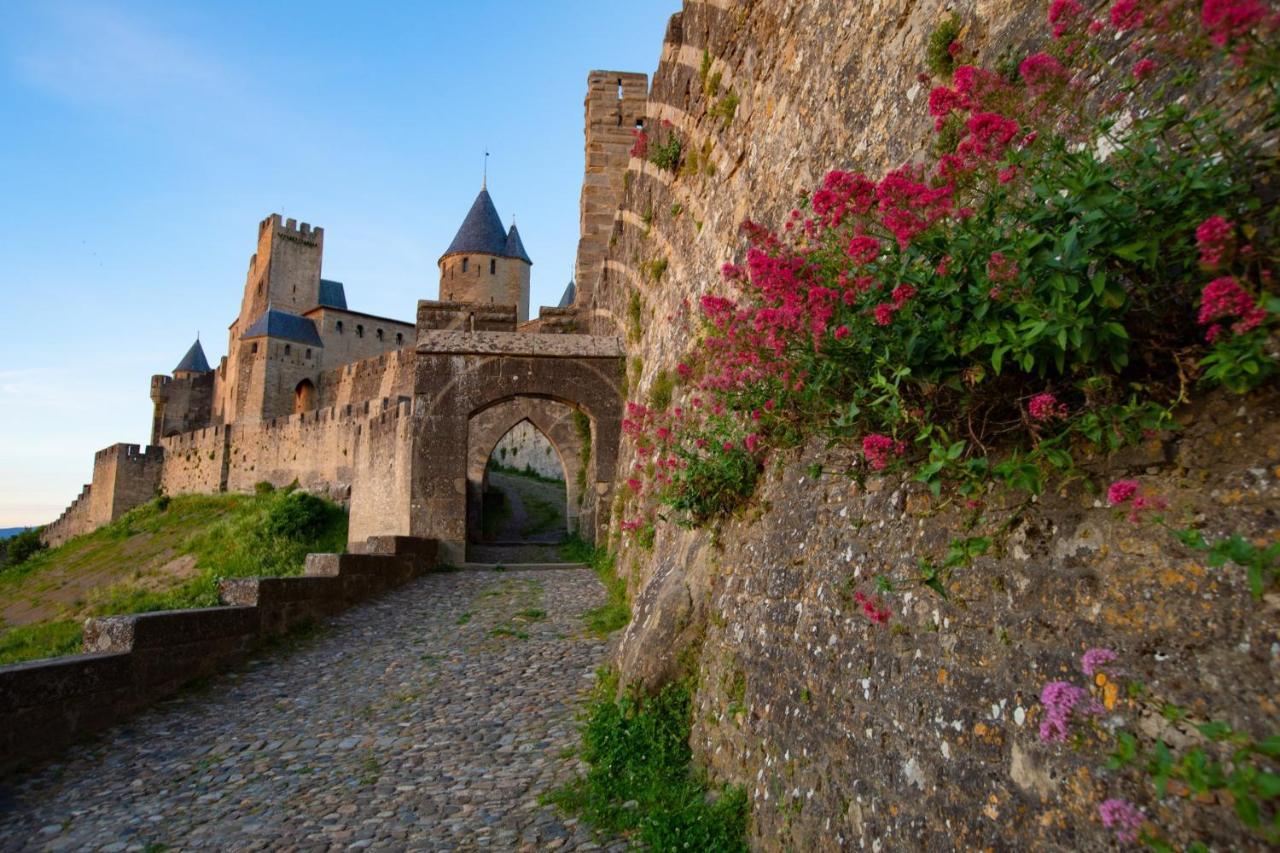 Tout Confort ! Calme, Climatisation, Parking Gratuit, Grande Terrasse, Ascenseur, Wifi Carcassonne Bagian luar foto